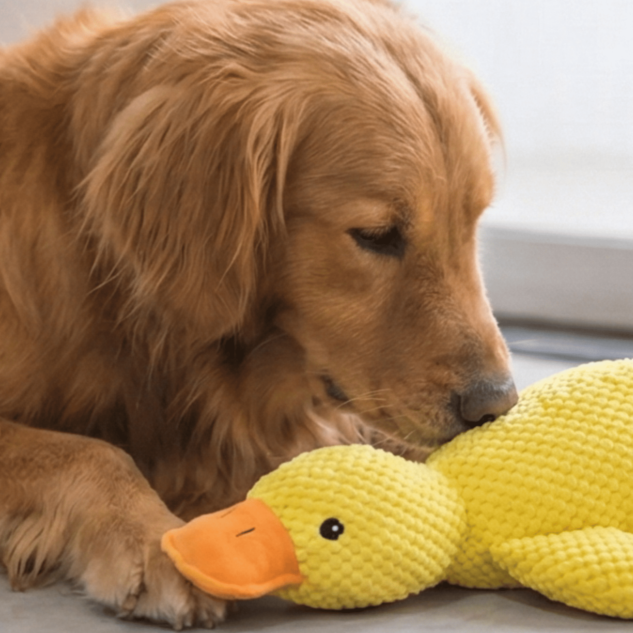 Laissez la Magie Opérer