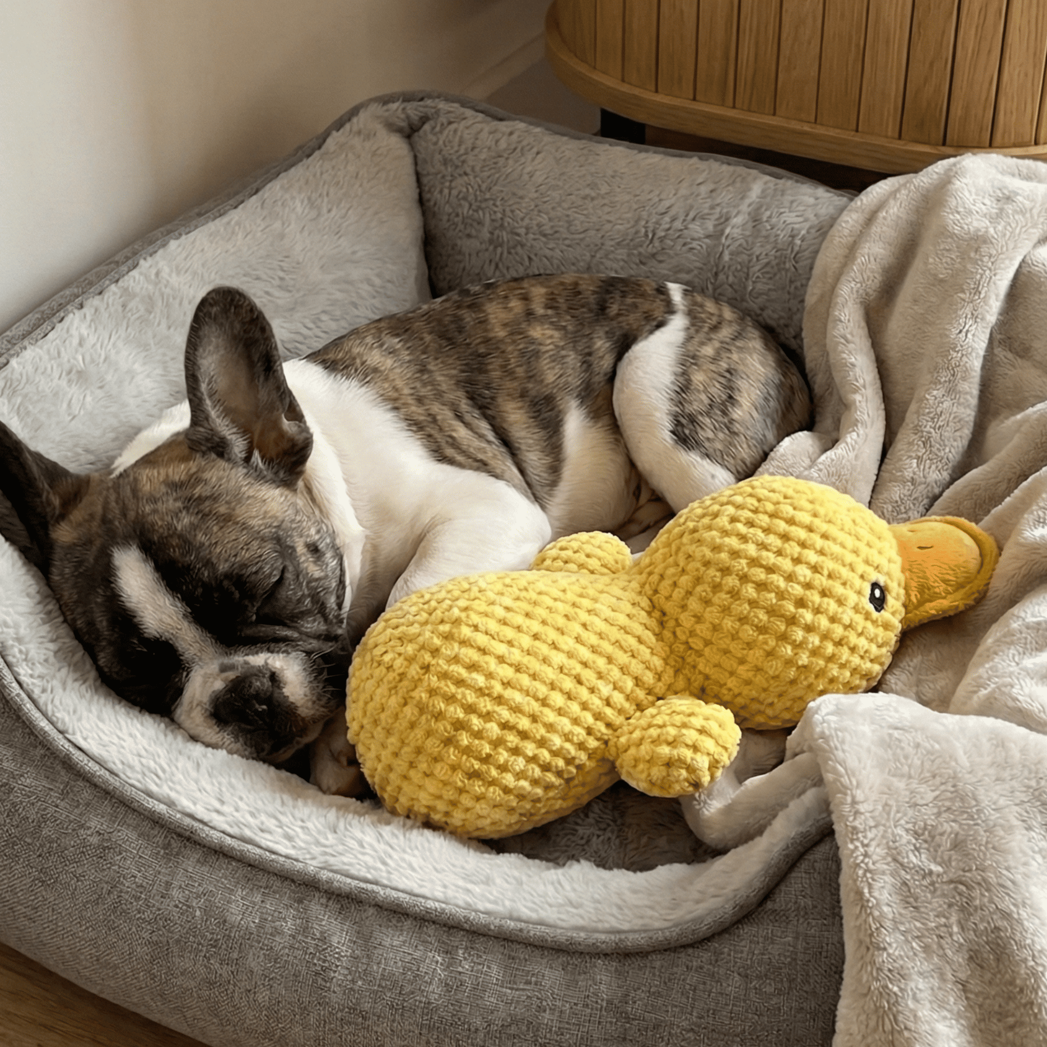 Avis par Hélène (Propriétaire)