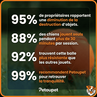 Balle interactive intelligente - PetouPet