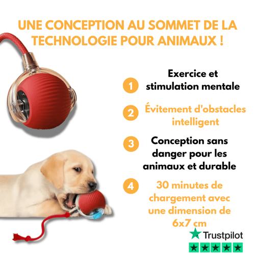 Balle Interactive pour Chat – Anti-Ennui & Automatique