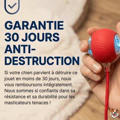 Balle interactive intelligente - PetouPet