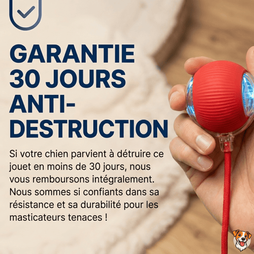 Balle Interactive pour Chat – Anti-Ennui & Automatique