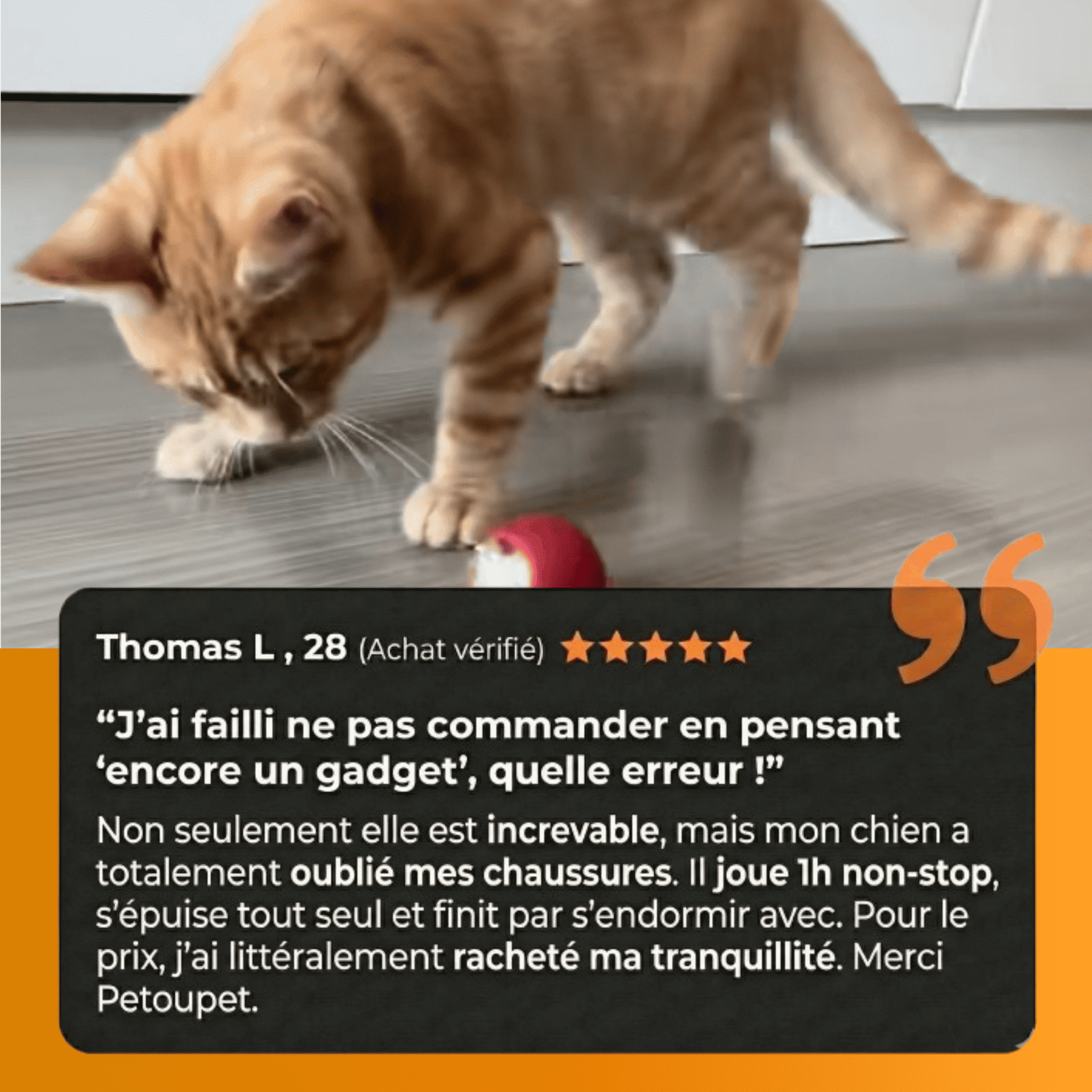 Balle interactive intelligente - PetouPet