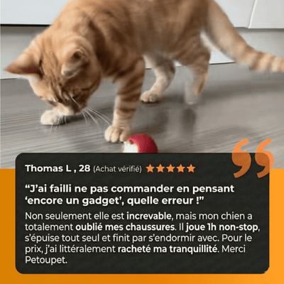 Balle interactive intelligente - PetouPet