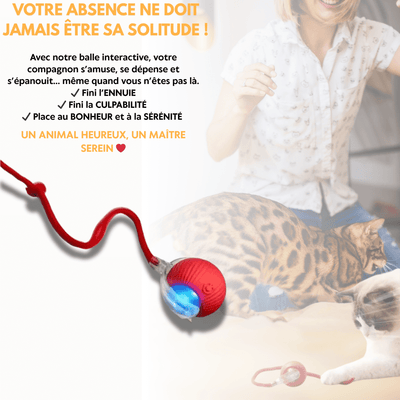 Balle interactive intelligente - PetouPet