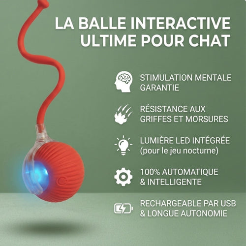 Balle Interactive pour Chat – Anti-Ennui & Automatique