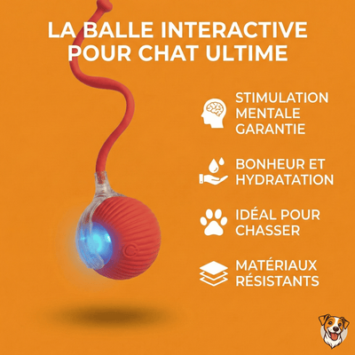 Balle Interactive pour Chat – Anti - Ennui & Automatique - PetouPet