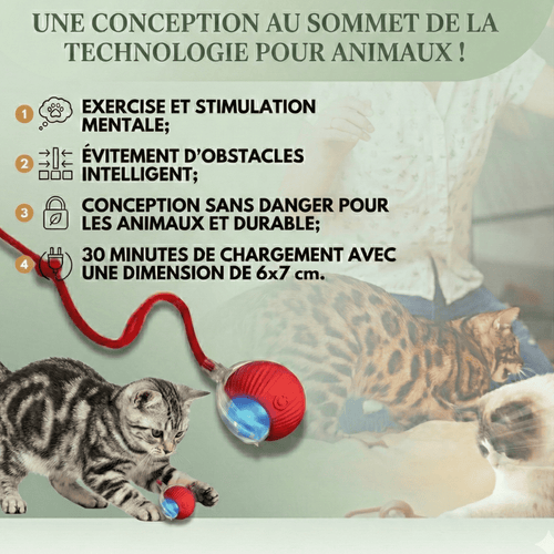 Balle Interactive pour Chat – Anti-Ennui & Automatique