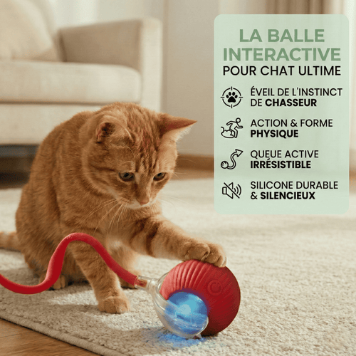 Balle Interactive pour Chat – Anti-Ennui & Automatique