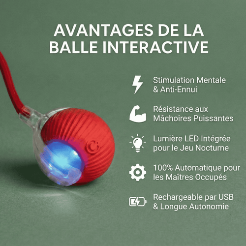 Balle Interactive pour Chat – Anti-Ennui & Automatique