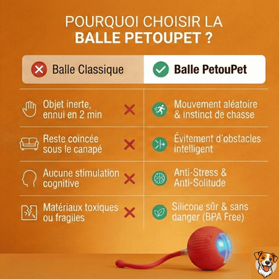 Balle Interactive pour Chat – Anti - Ennui & Automatique - PetouPet