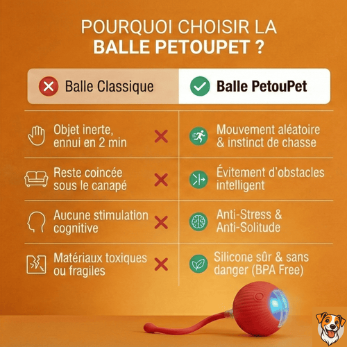 Balle Interactive pour Chat – Anti-Ennui & Automatique
