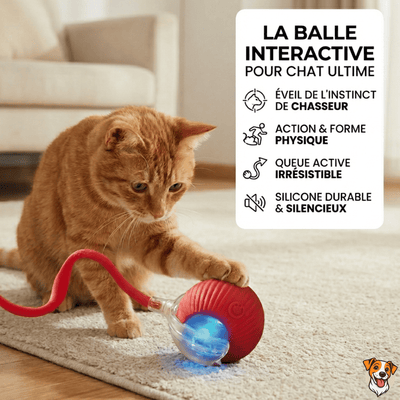 Balle Interactive pour Chat – Anti - Ennui & Automatique - PetouPet