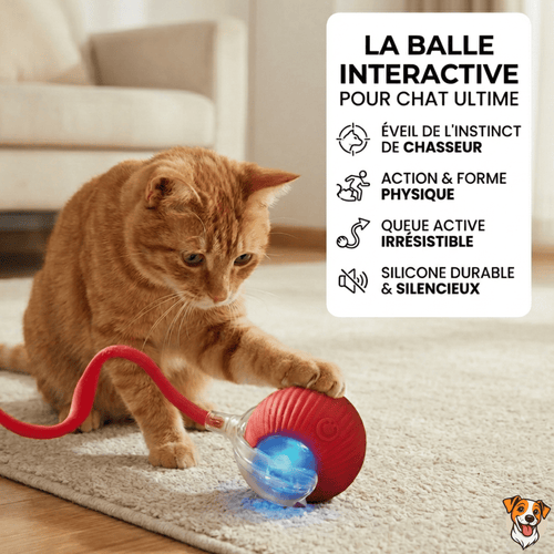 Balle Interactive pour Chat – Anti-Ennui & Automatique