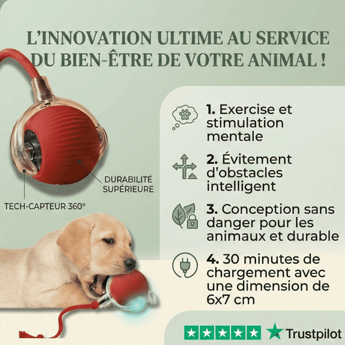 Balle Interactive pour Chat – Anti-Ennui & Automatique