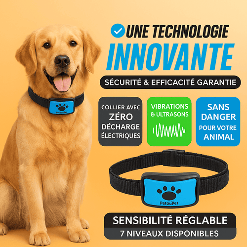 Collier Anti-Aboiement Intelligent - Sans Choc