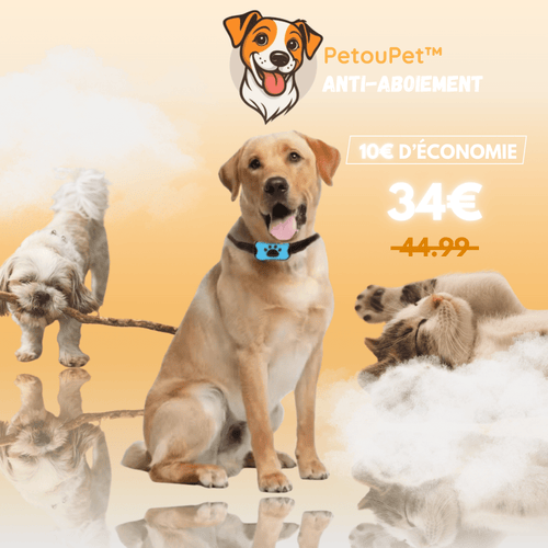 Collier Anti-Aboiement Intelligent - Sans Choc