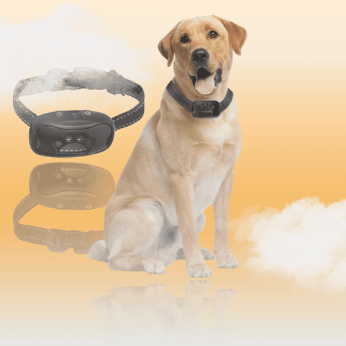 Collier Anti-Aboiement Intelligent - Sans Choc