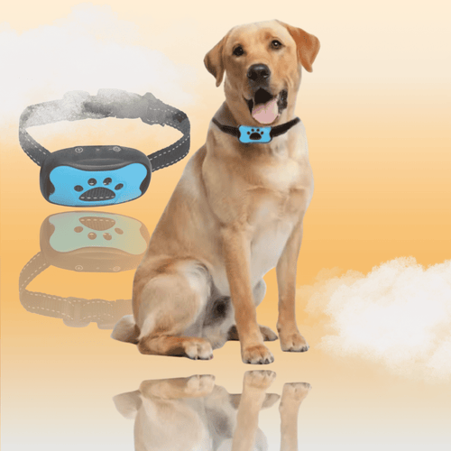 Collier Anti-Aboiement Intelligent - Sans Choc