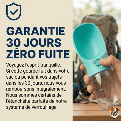 Gourde de Voyage Anti - Fuite pour Chien - PetouPet