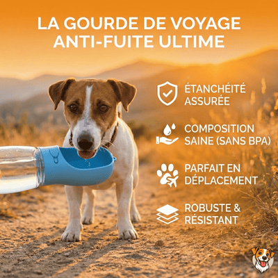 Gourde de Voyage Anti - Fuite pour Chien - PetouPet