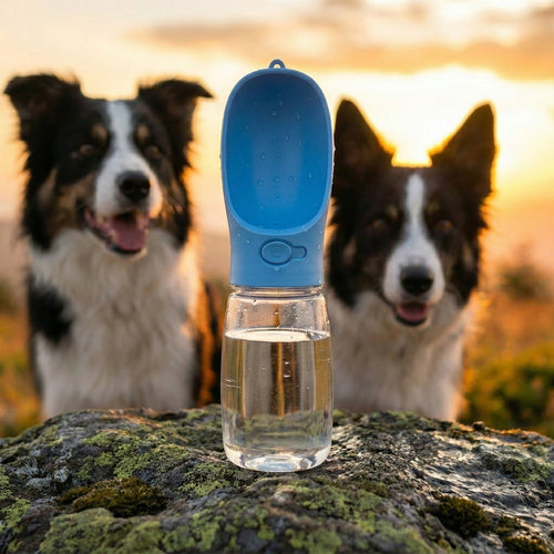 Gourde de Voyage Anti-Fuite pour Chien