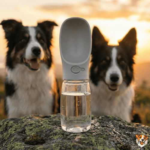 Gourde de Voyage Anti-Fuite pour Chien