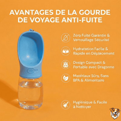 Gourde de Voyage Anti - Fuite pour Chien - PetouPet