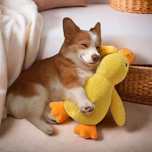 Peluche anti stress Chien