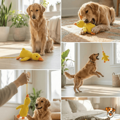 Peluche anti stress Chien - PetouPet