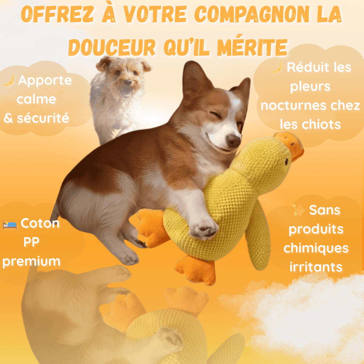 Peluche anti stress Chien - PetouPet