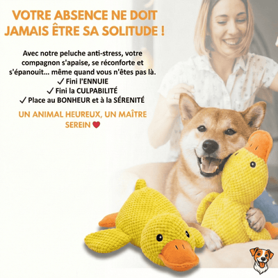 Peluche anti stress Chien - PetouPet