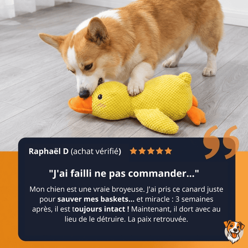 Peluche anti stress Chien