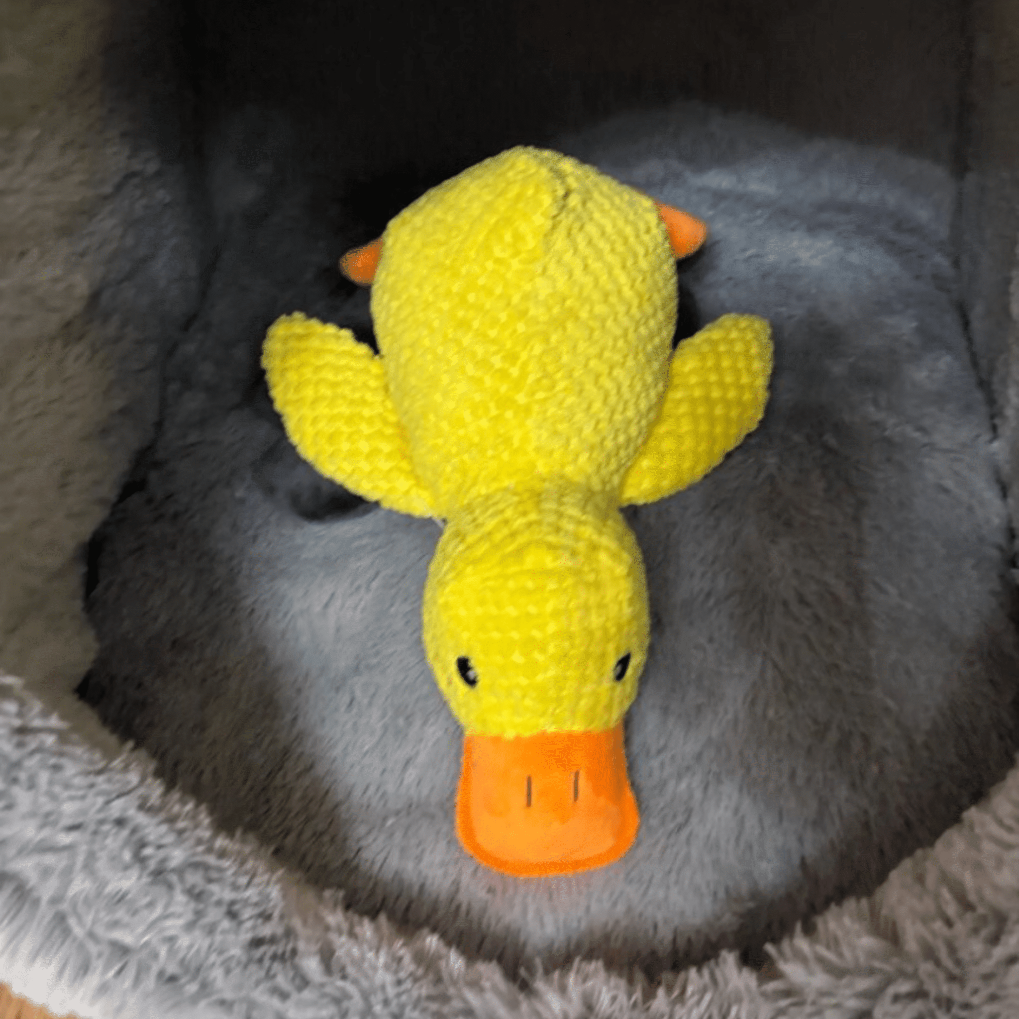 Peluche anti stress Chien - PetouPet