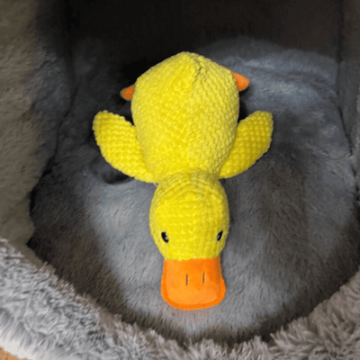 Peluche anti stress Chien - PetouPet