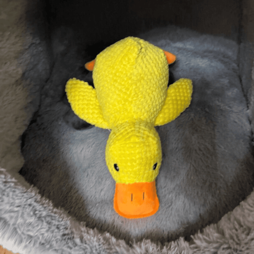 Peluche anti stress Chien