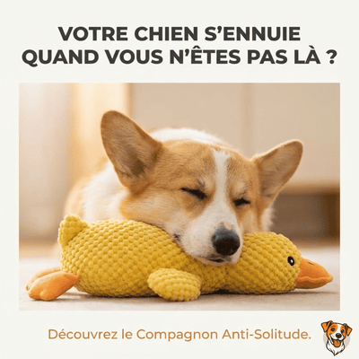 Peluche anti stress Chien - PetouPet