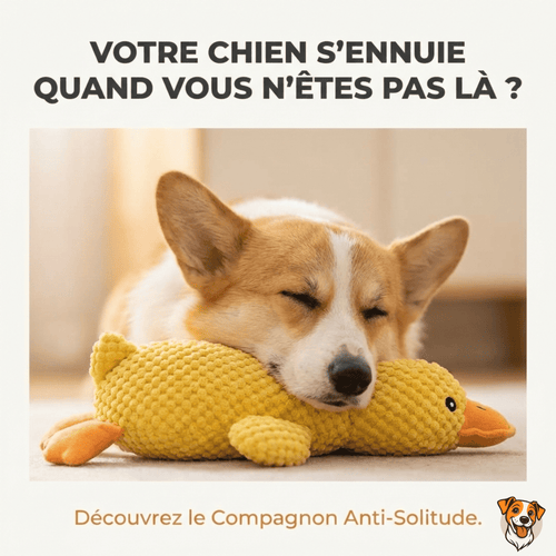 Peluche anti stress Chien