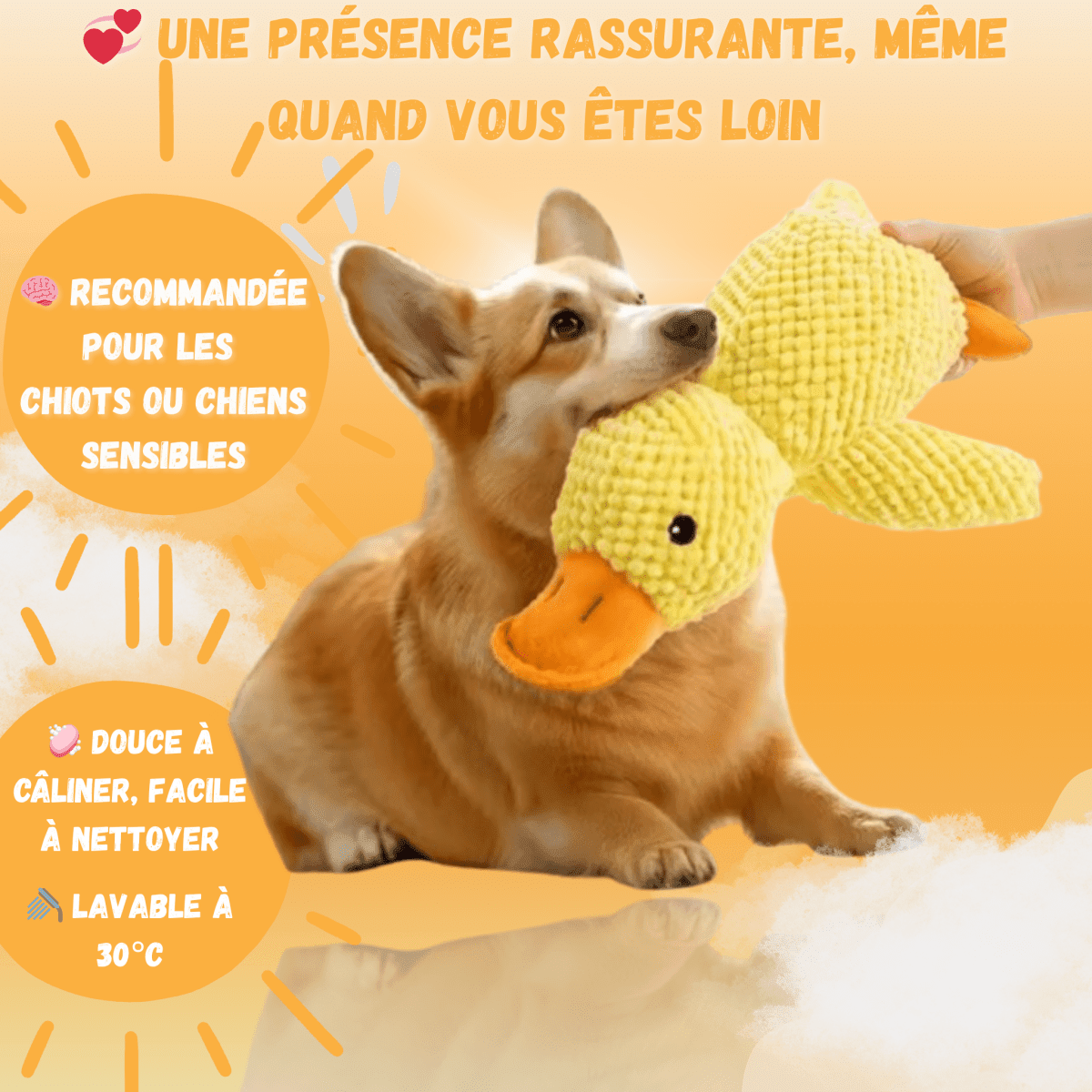 Peluche anti stress Chien - PetouPet