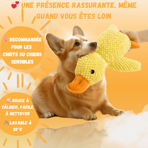 Peluche anti stress Chien