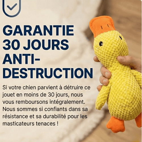 Peluche anti stress Chien