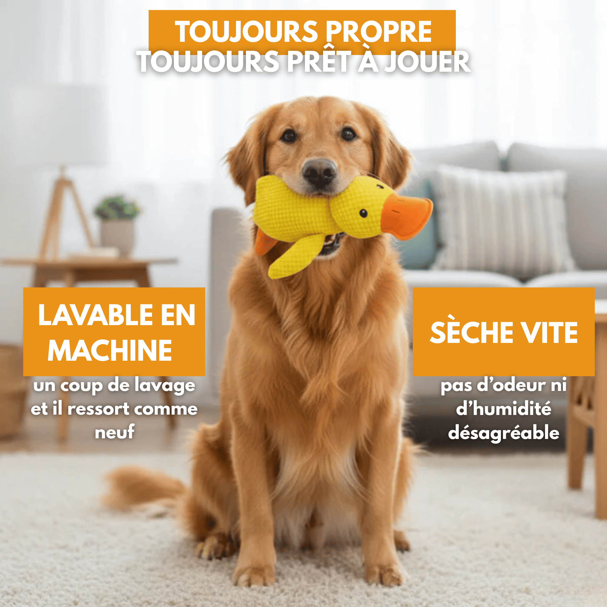 Peluche anti stress Chien - PetouPet