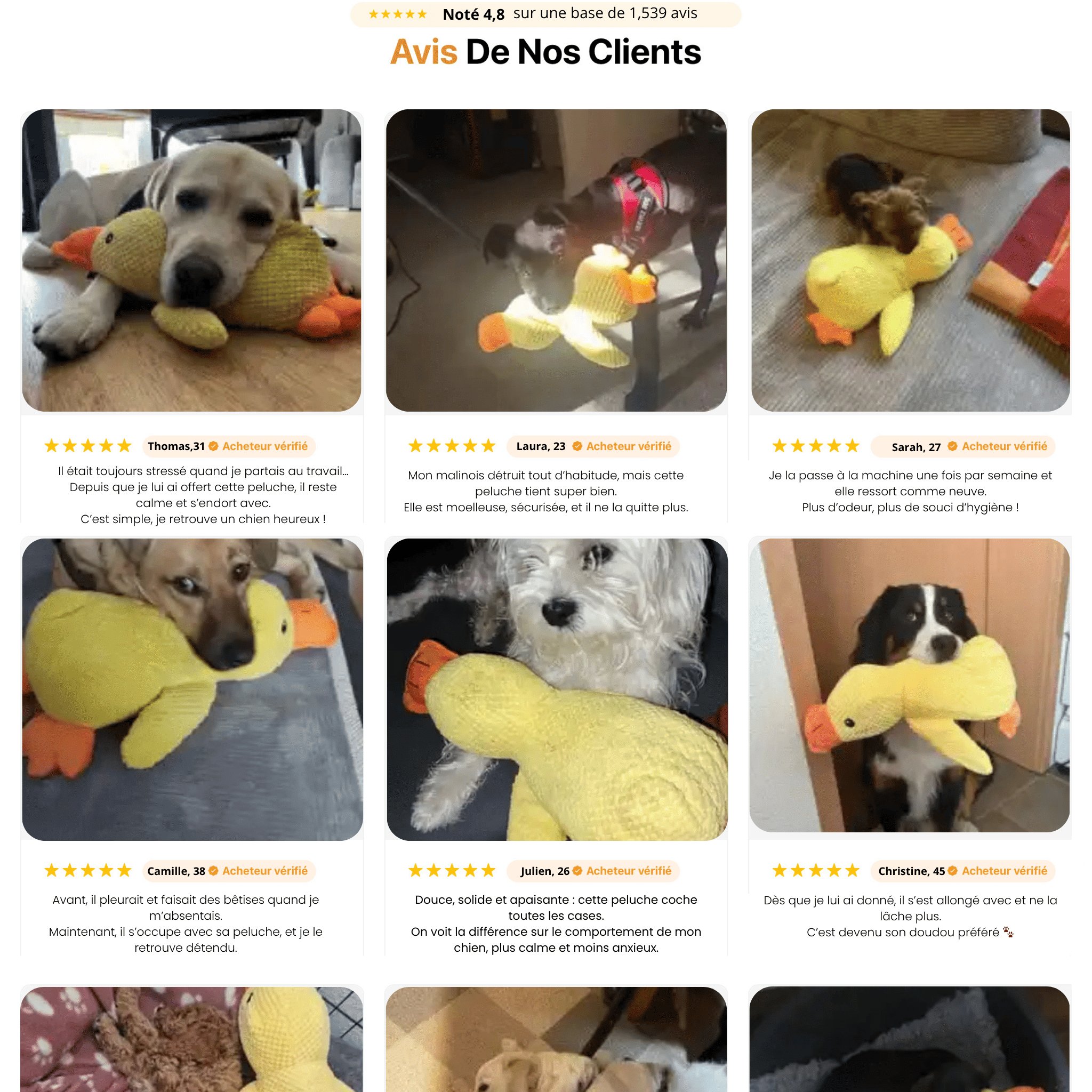 Peluche anti stress Chien - PetouPet