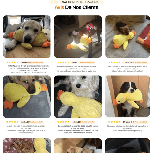 Peluche anti stress Chien