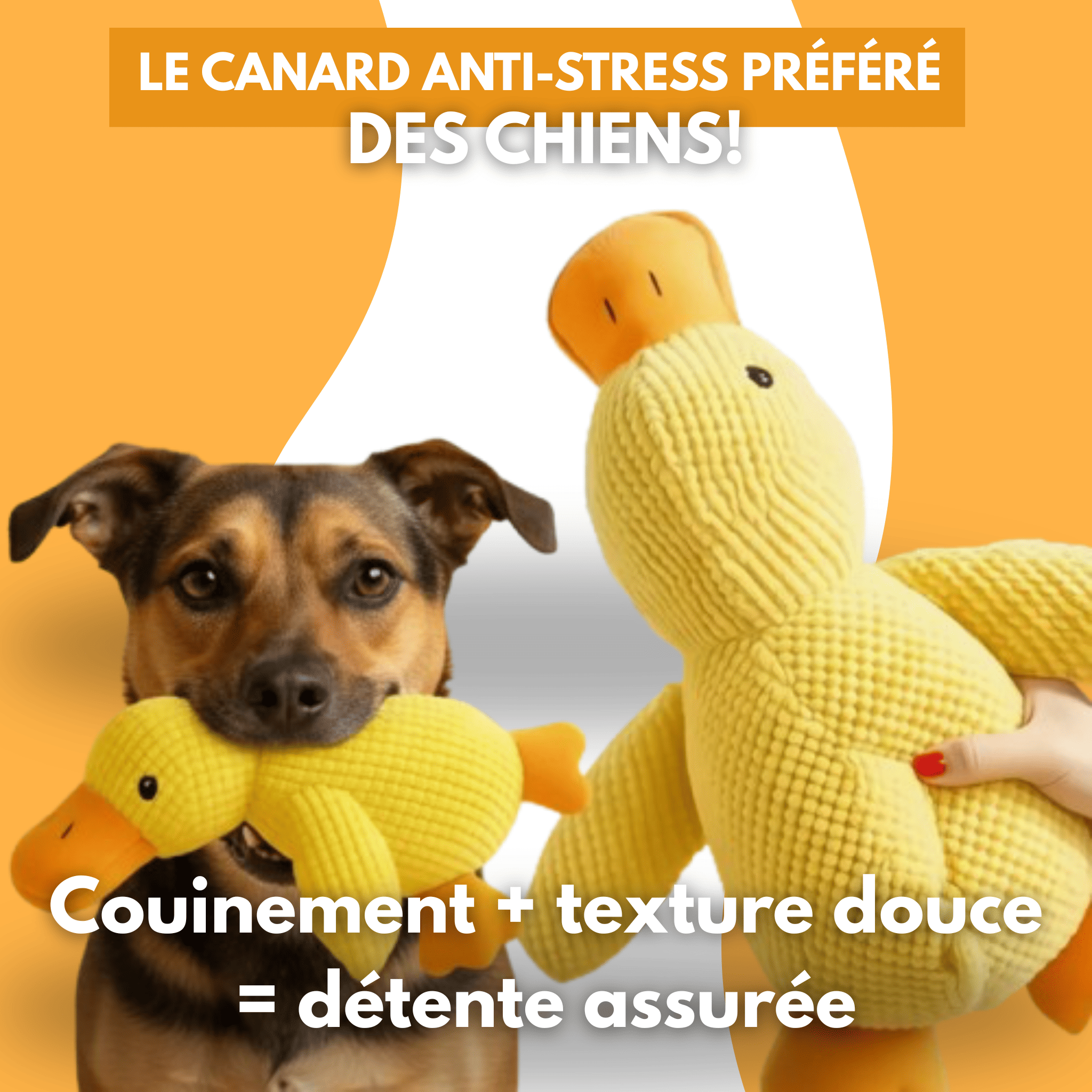 Peluche anti stress Chien - PetouPet